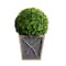18" LED UV Resistant Boxwood Ball Topiary in Decorative Planter